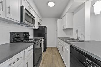 B1 | 861 sq ft | 2 bed / 1 bath - kitchen