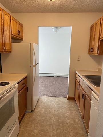 Carver apartment for rent - an empty kitchen with a refrigerator and a sink