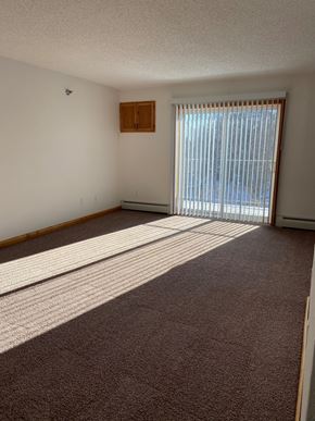 Carver apartment for rent - Living Room
