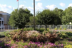 Chanhassen apartment for rent - A flower garden with a variety of plants and flowers
