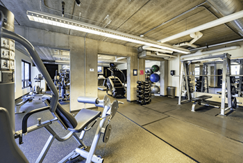 Fitness suite with cardio and strength training