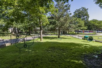 Bark park