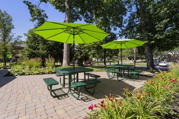 Bbq/picnic area