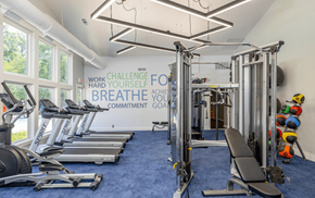 Dearborn townhouse for rent - A gym with a row of treadmills and a row of exercise bikes.