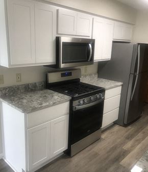 Spring Park apartment for rent - Updated Kitchen