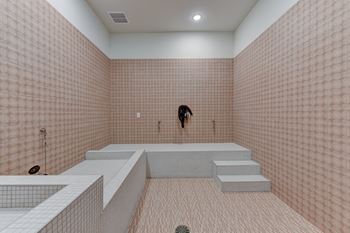 Pet spa