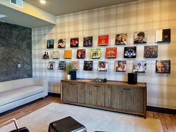 Vinyl record room1