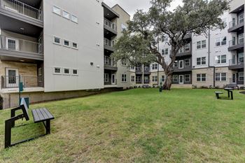 Courtyard lawn with mature tree and benches