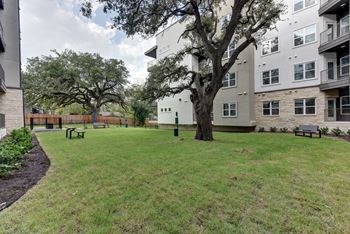 Courtyard with mature oak tree and grassy lawn