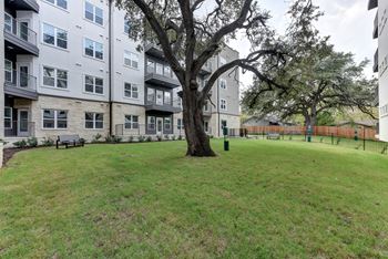 Courtyard with mature oak trees and green lawn