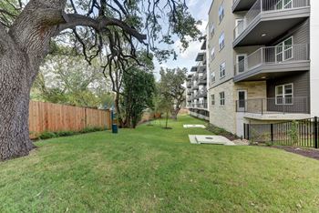 Grassy yard with trees and building balconies