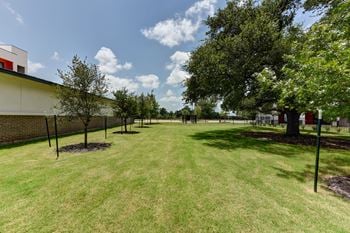 Dog park