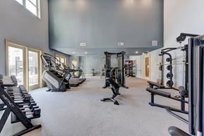 Manor apartment for rent - A gym with a variety of equipment including treadmills, weights, and exercise machines.