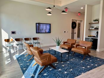 Community lounge with modern seating and wall mounted television