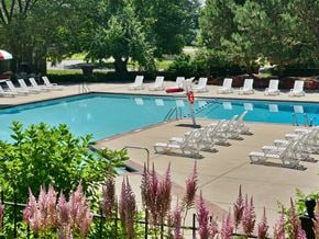 Wixom apartment for rent - Pool at The Village Apartments, Wixom, MI, 48393