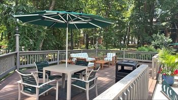 Sparkling swimming pool & sundeck