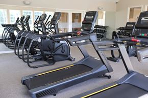 Batavia apartment for rent - A row of treadmills and elliptical machines in a gym.