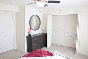 Bedroom with walk-in closet