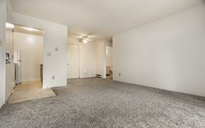 Miamisburg apartment for rent - A spacious, empty room with a carpeted floor and white walls