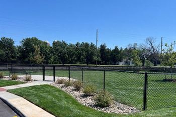 A dog park with a bench and fence