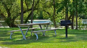 A picnic table and a barbecue grill in a park