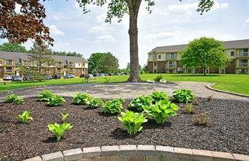 A community garden with plants and trees in front of an apartment building