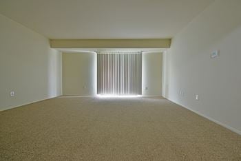 An empty living room with a window and carpet