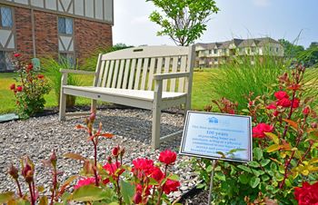 Bench in a garden