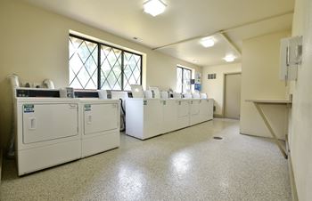 An empty laundry room with washers and dryers and windows