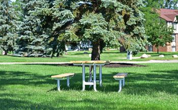 Picnic area