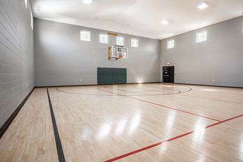 A basketball court with a green box and a basketball hoop