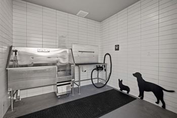 Pet spa