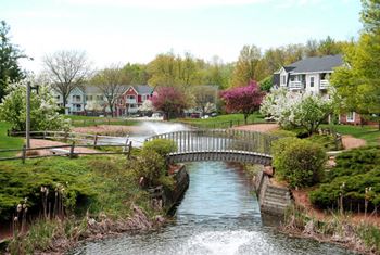 Beautiful ponds with fountains