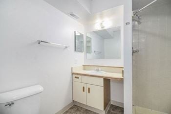 Walk-in shower in second bath