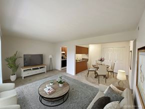 Columbia apartment for rent - Iris View Living Room  at Brook Pines, Columbia, South Carolina