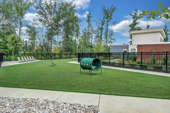 A green trash can sits in the middle of a grassy yard