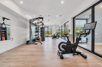 A gym with a row of exercise bikes and a row of pull up bars.