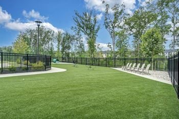 A black fenced area with a green lawn and trees in the background