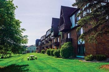 Picturesque garden setting