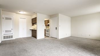 A spacious living room with a kitchenette in the background