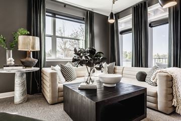 Dublin apartment for rent - a living room with couches and a coffee table