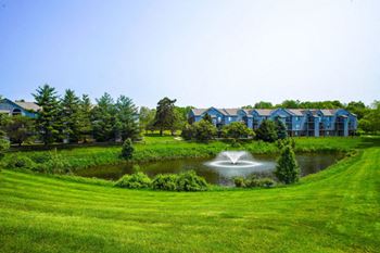 Ponds with fountains