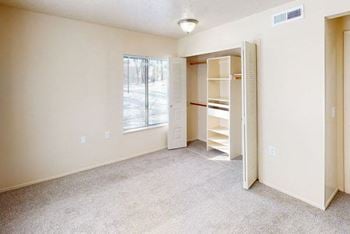 Luxury apartment closet