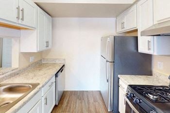 Luxury kitchen with dishwasher