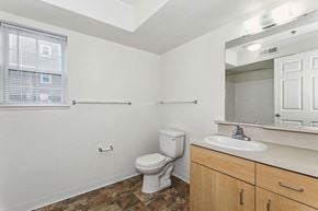 Jackson apartment for rent - spacious bathroom with a window at Trillium Pointe Apartment Homes, Jackson, Michigan