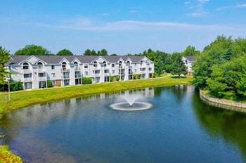 Pond views