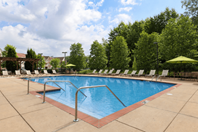 Collierville apartment for rent - A large outdoor swimming pool surrounded by trees and lounge chairs.