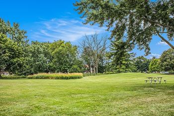 A green grassy lawn with trees and a picnic table