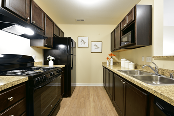 Our apartments showcase a modern kitchen