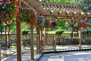 A wooden pergola with red and purple flowers hanging from it